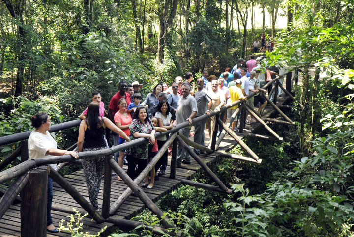 Parque conta ainda com ponte de madeira suspensa